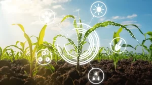 Read more about the article The Future of Sustainable Agriculture: A Greener Tomorrow