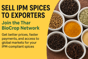 Read more about the article Sell IPM Spices to Exporters – Join the Thar BioCrop Network