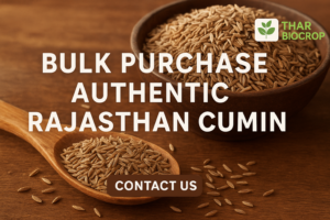 Read more about the article Bulk Purchase of Authentic Rajasthan Cumin | Leading Jeera Supplier in India